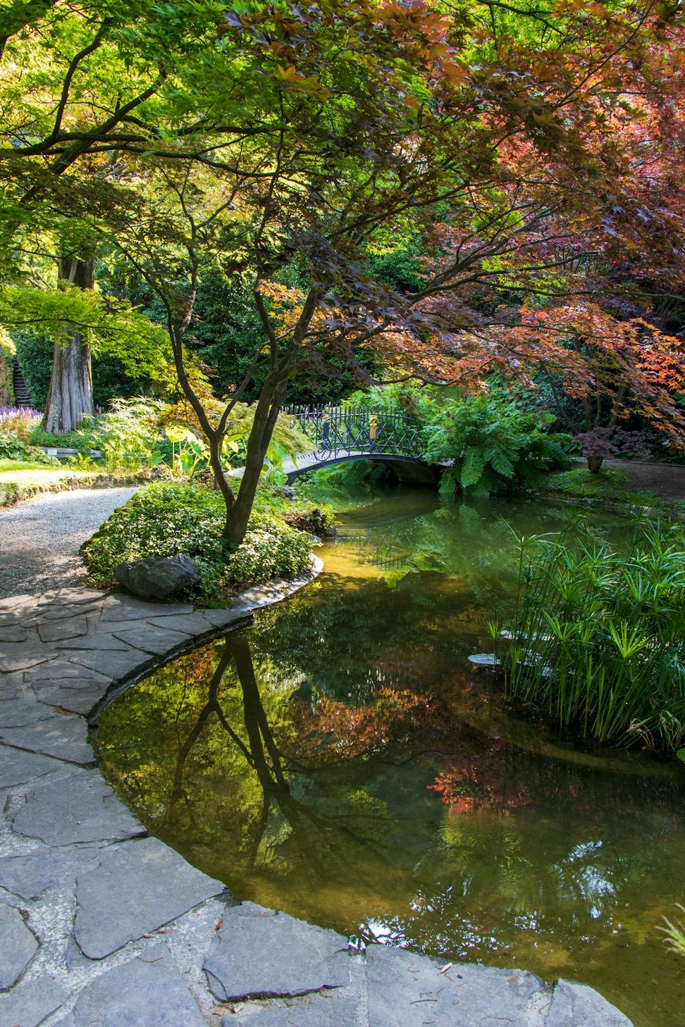 Wellness Garden